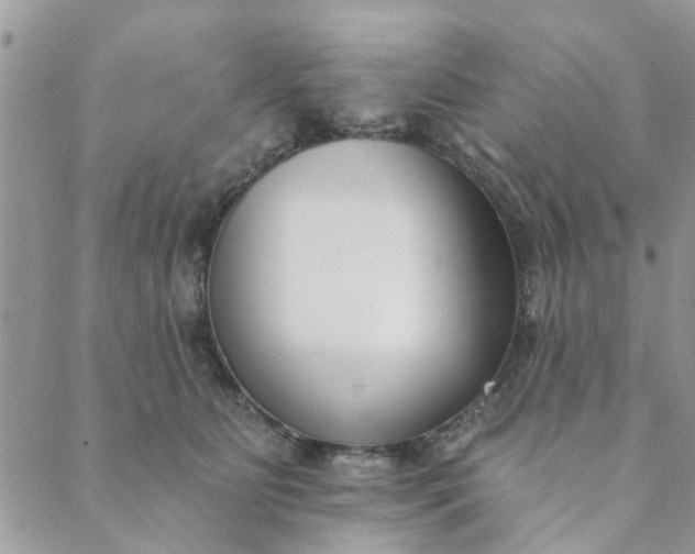 X0000089420515200706291036