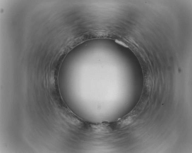 X0000089420516200706291036