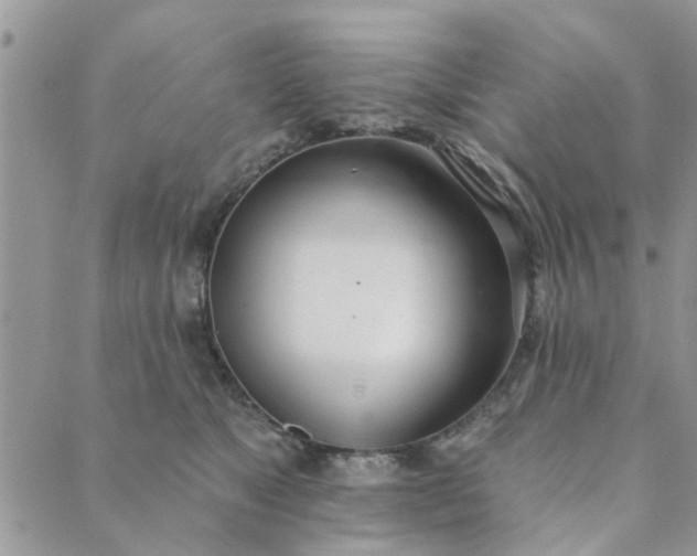 X0000089420517200706291036