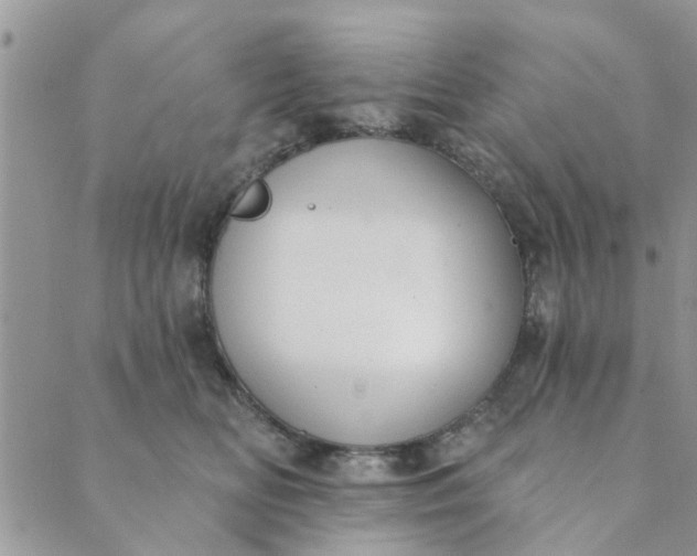 X0000089420518200706291036