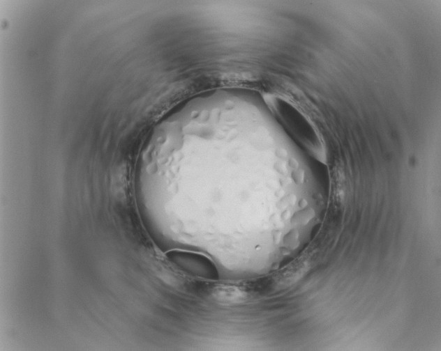 X0000089420519200706291036