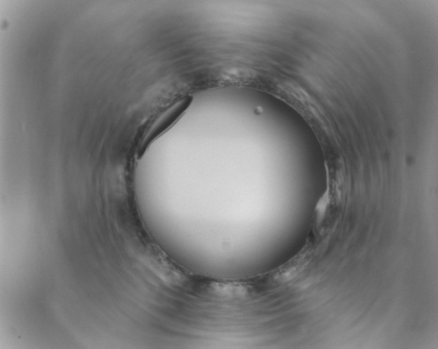 X0000089420520200706291036