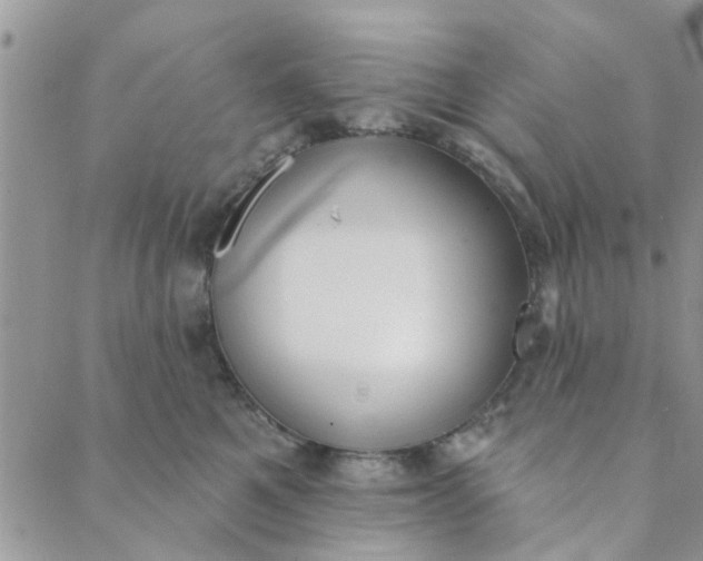 X0000089420521200706291036