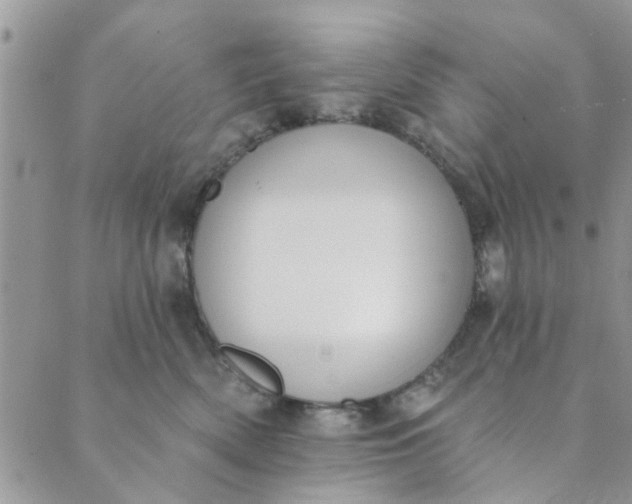 X0000089420522200706291036