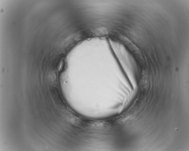 X0000089420523200706291036