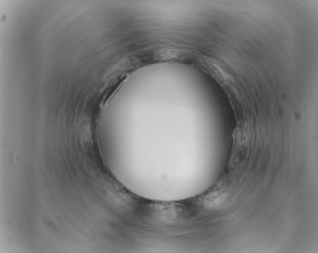 X0000089420524200706291036