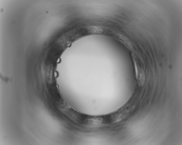 X0000089420525200706291036