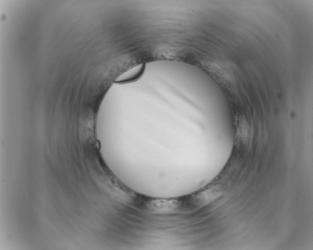 X0000089420526200706291036