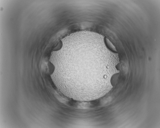 X0000089420527200706291036