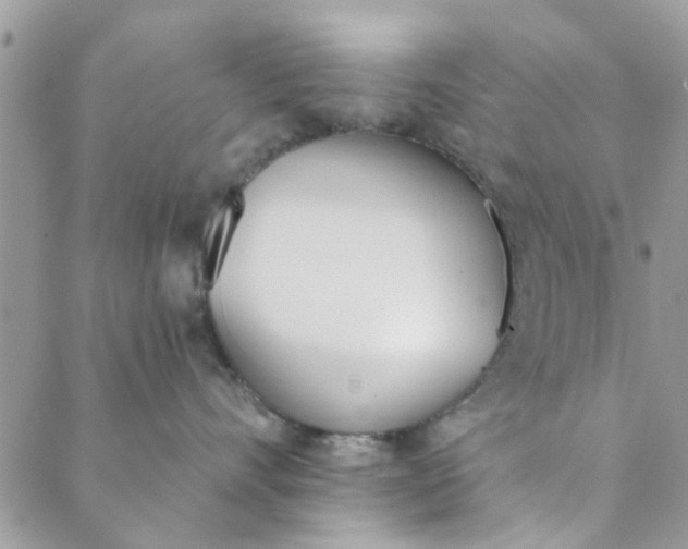 X0000089420528200706291036