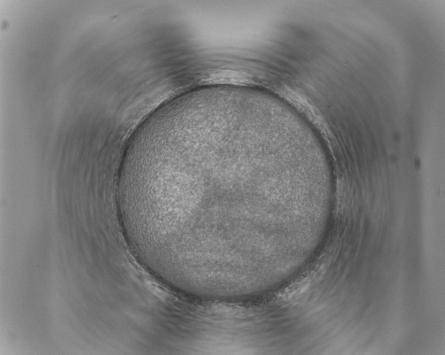 X0000089420529200706291035