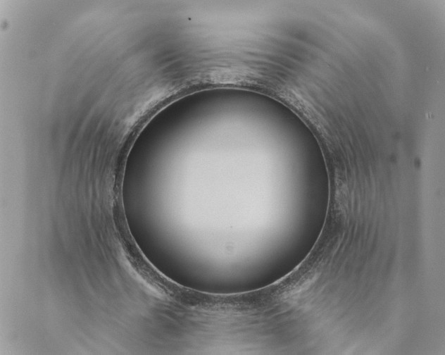 X0000089420530200706291035