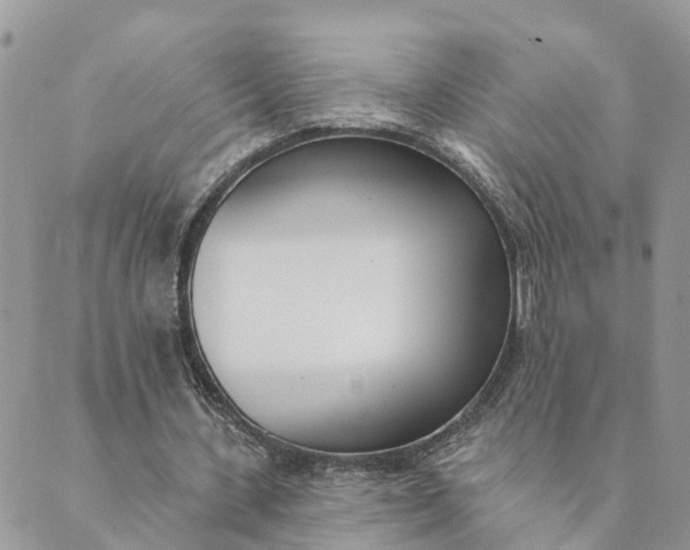 X0000089420531200706291035