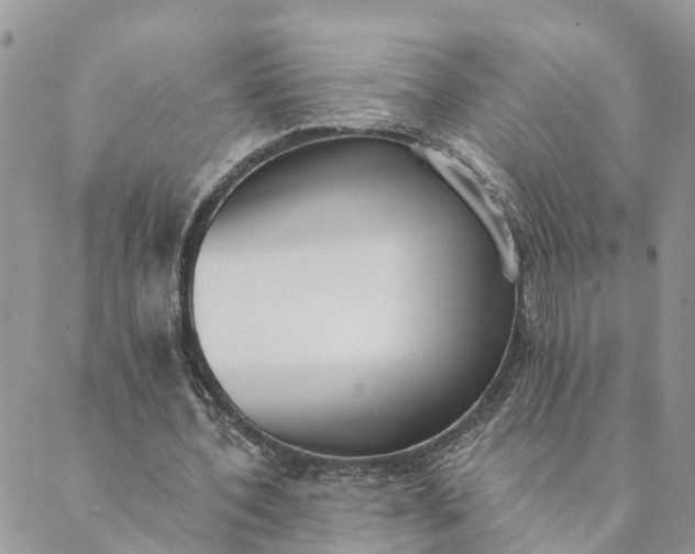 X0000089420532200706291035