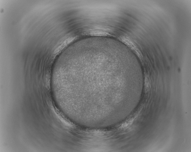 X0000089420533200706291035