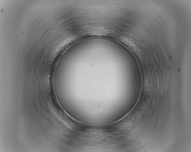 X0000089420535200706291035