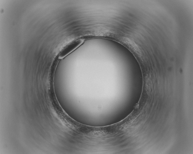 X0000089420536200706291035