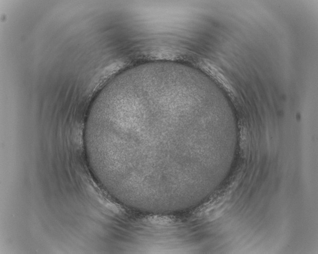 X0000089420537200706291035