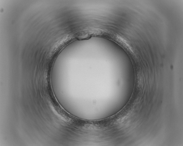 X0000089420538200706291035