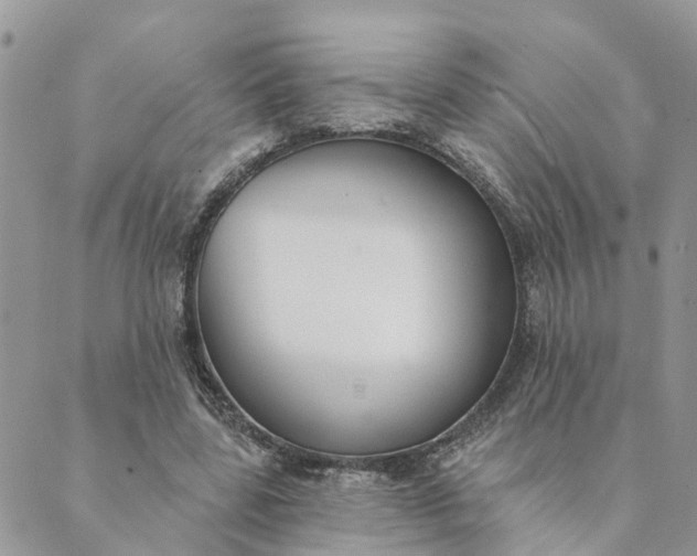 X0000089420539200706291035