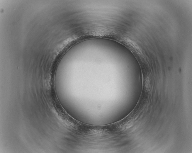 X0000089420540200706291035