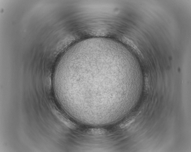 X0000089420541200706291035