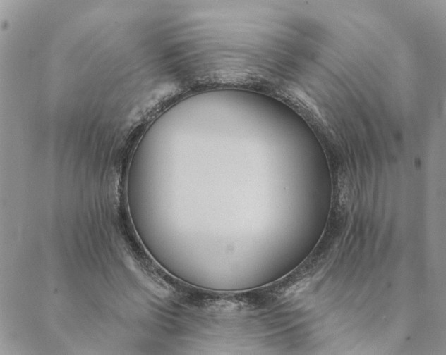 X0000089420542200706291035