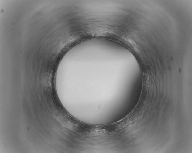 X0000089420543200706291035