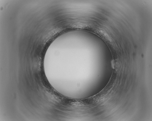 X0000089420544200706291035