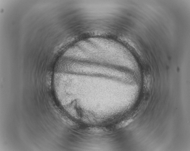 X0000089420545200706291035