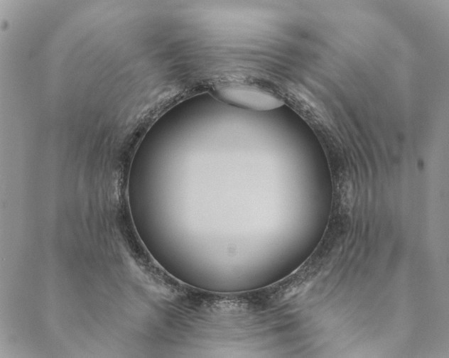 X0000089420546200706291035