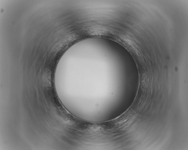 X0000089420547200706291035