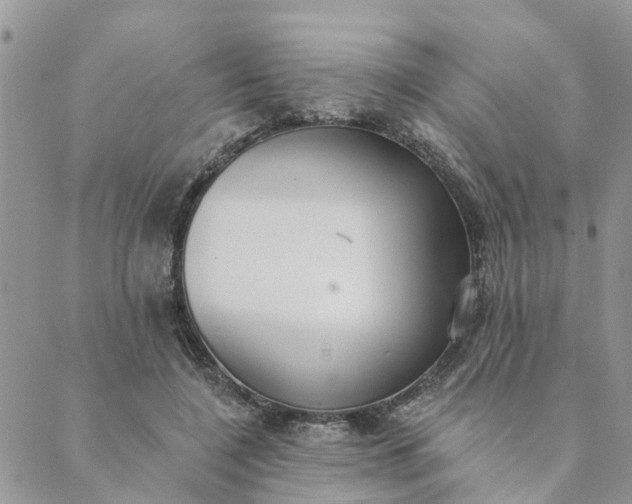 X0000089420548200706291035