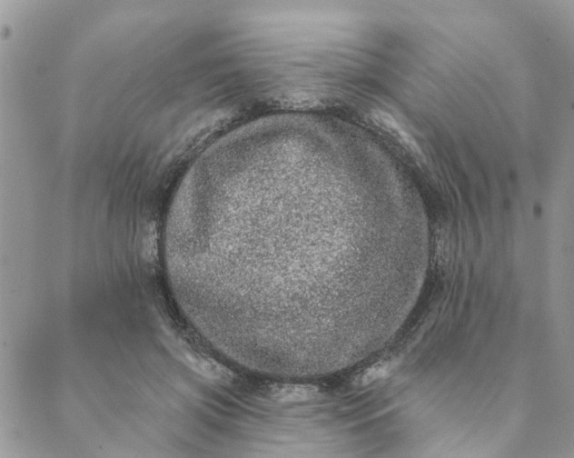 X0000089420549200706291035