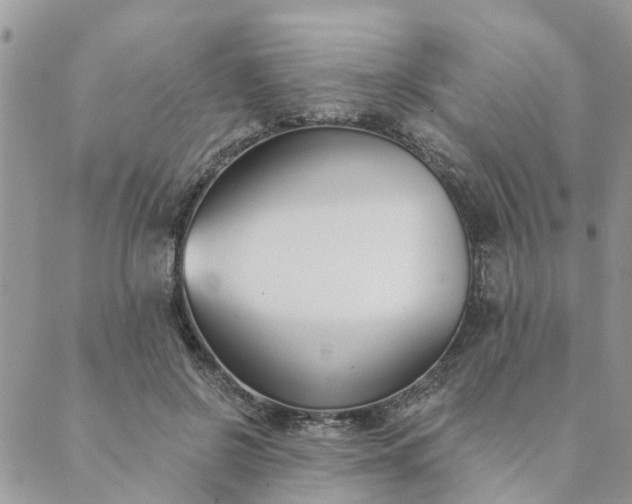 X0000089420550200706291035