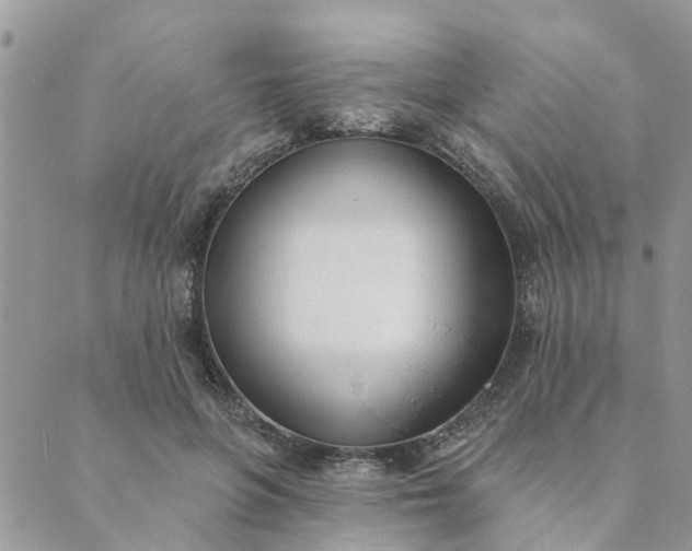 X0000089420551200706291035