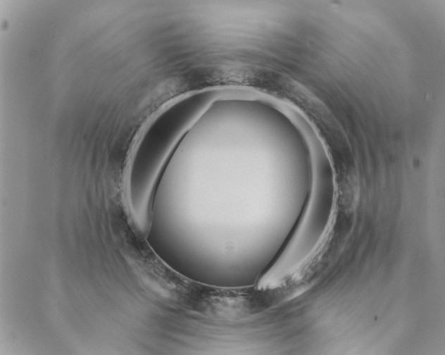 X0000089420552200706291035