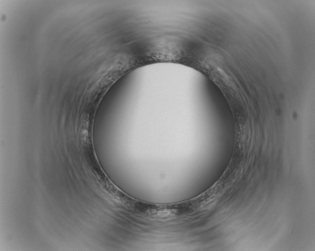 X0000089420553200706291035