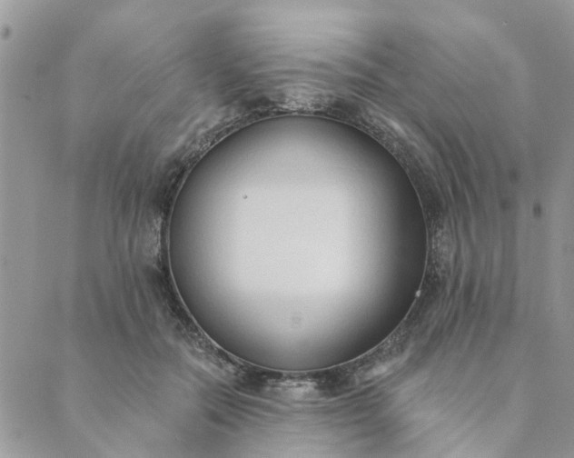 X0000089420554200706291035