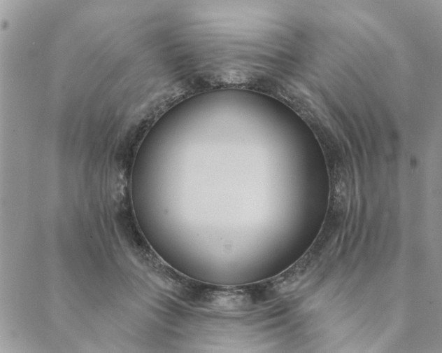 X0000089420555200706291035