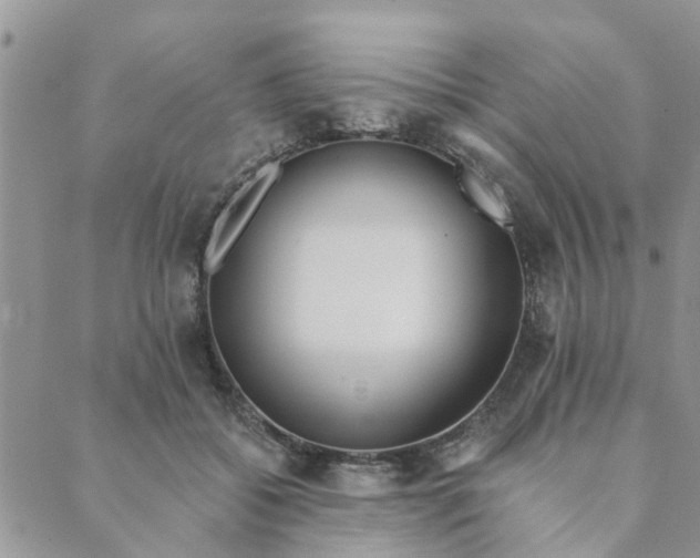 X0000089420556200706291035