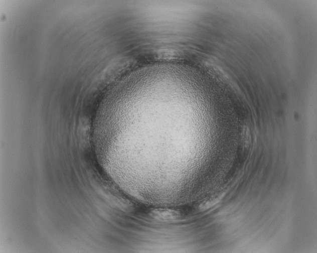 X0000089420557200706291035