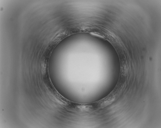 X0000089420558200706291035