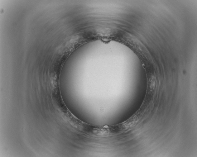 X0000089420559200706291035