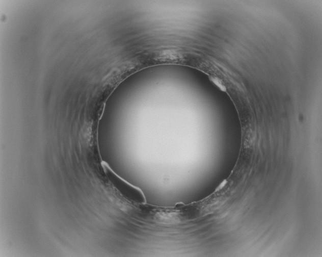 X0000089420560200706291035