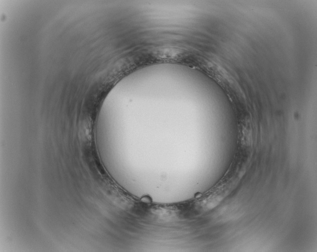 X0000089420561200706291036