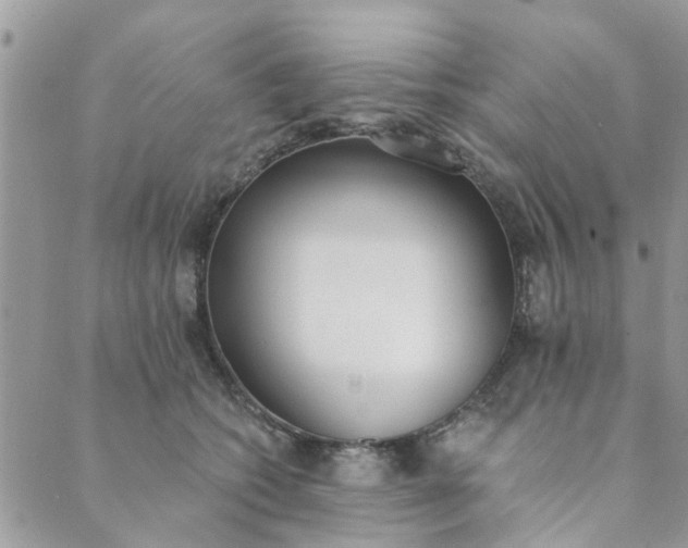 X0000089420562200706291036