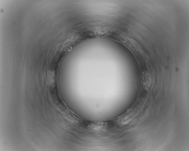 X0000089420563200706291036