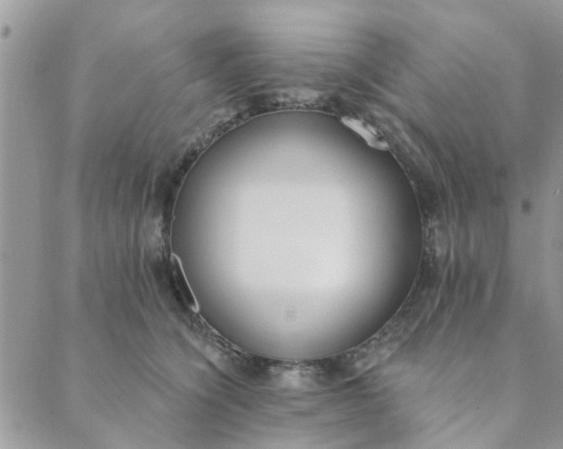 X0000089420564200706291036