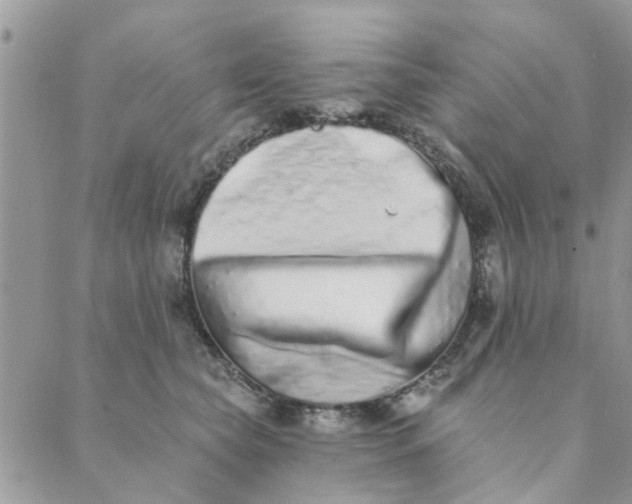 X0000089420565200706291036